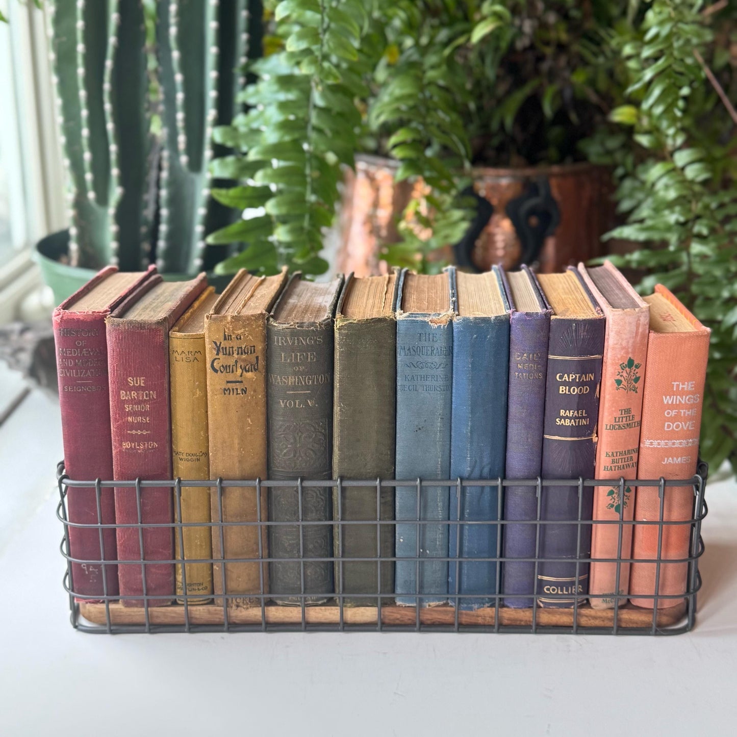 Shabby Antique Rainbow Book Set for Shelf Display