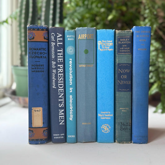 Blue Vintage Oversized Books for Decor, Books By Color, Vintage Book Set for Shelf Styling