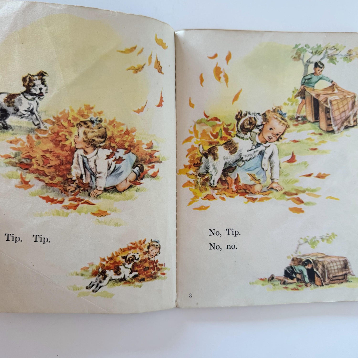 Tip, 1949 Primary Reader, Mid Century School Book, Dog Stories