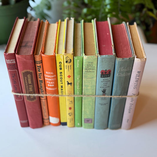 Rainbow Vintage Children's Book Set for Shelf Styling, Classic Kids Books