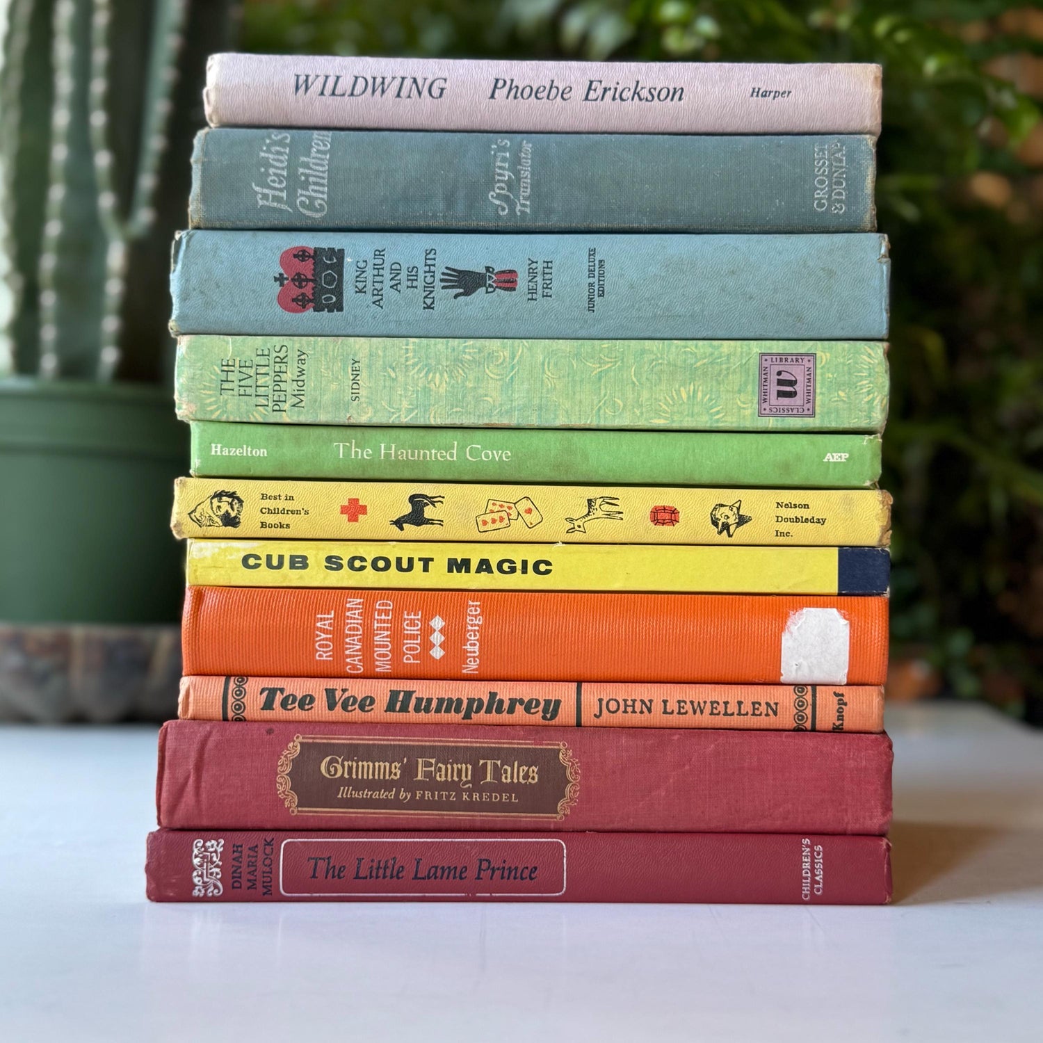 Rainbow Vintage Children's Book Set for Shelf Styling, Classic Kids Books