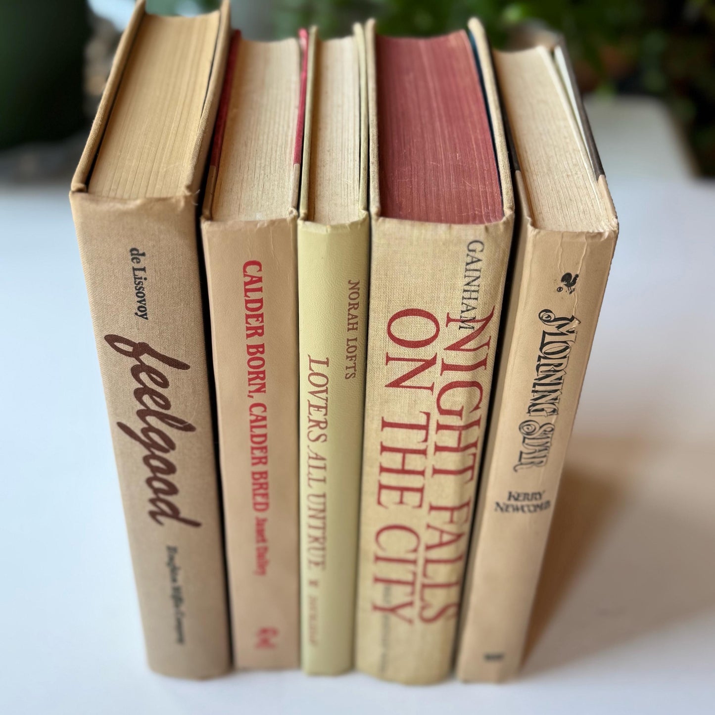 Beige and Red 1970s and 80s Vintage Books for Retro Shelf Styling