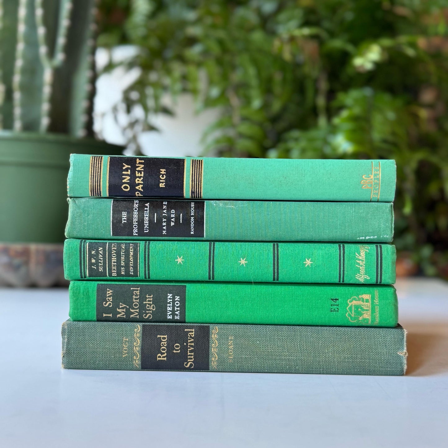 Green and Black Vintage Book Bundle for Decor, Mid Century Shelf Styling