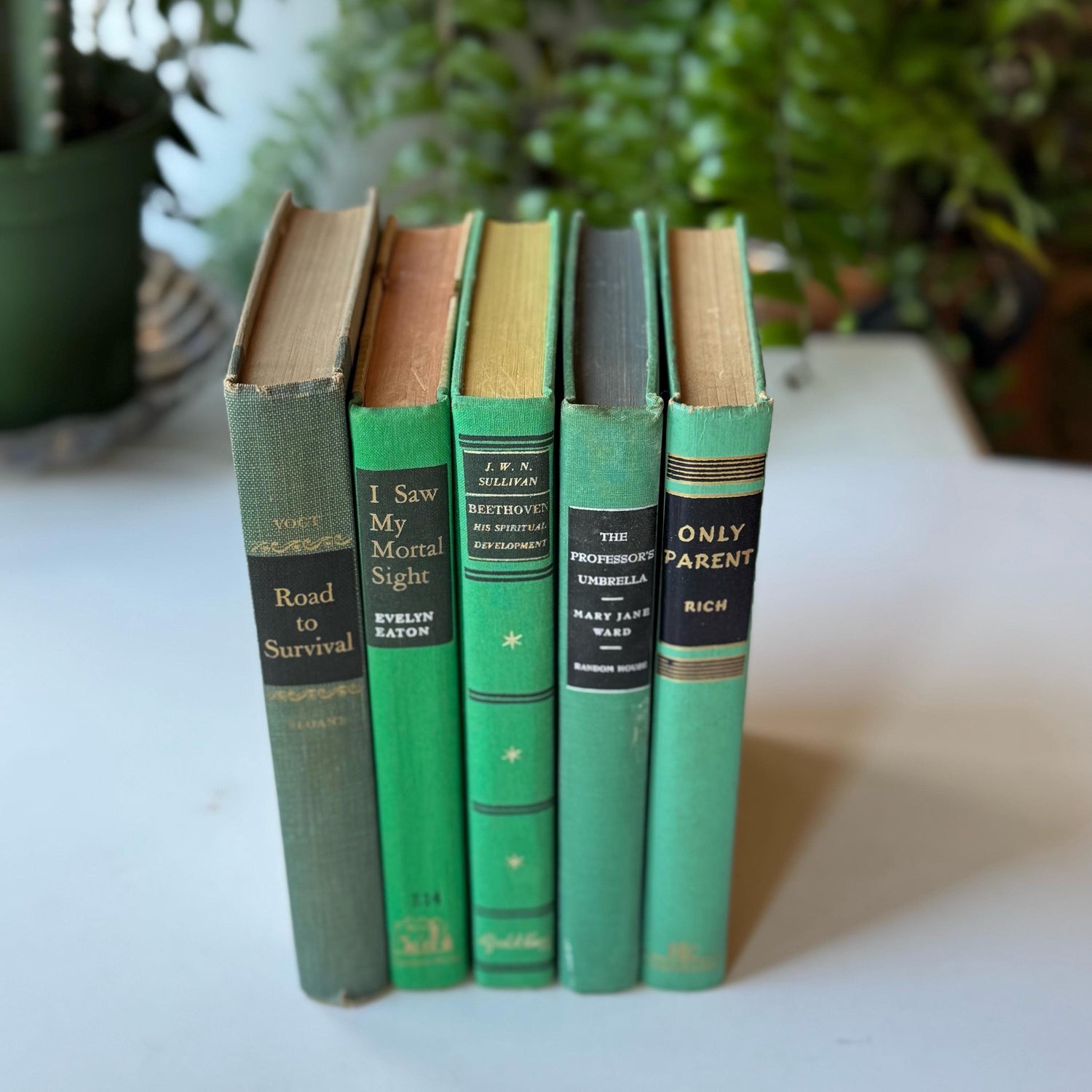 Green and Black Vintage Book Bundle for Decor, Mid Century Shelf Styling