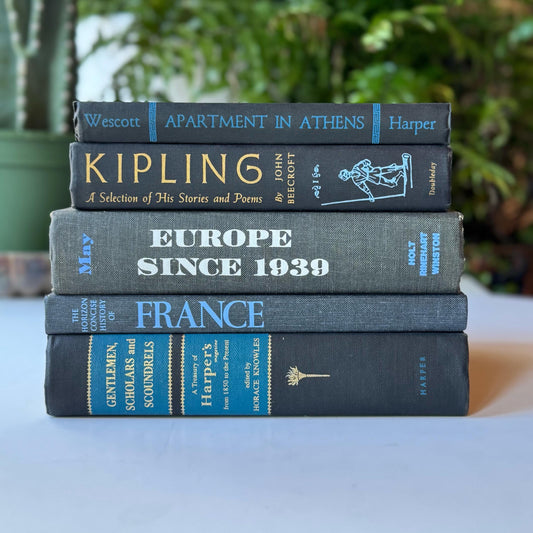 Black and Blue Mid Century Vintage Book Set For Masculine Shelf Styling