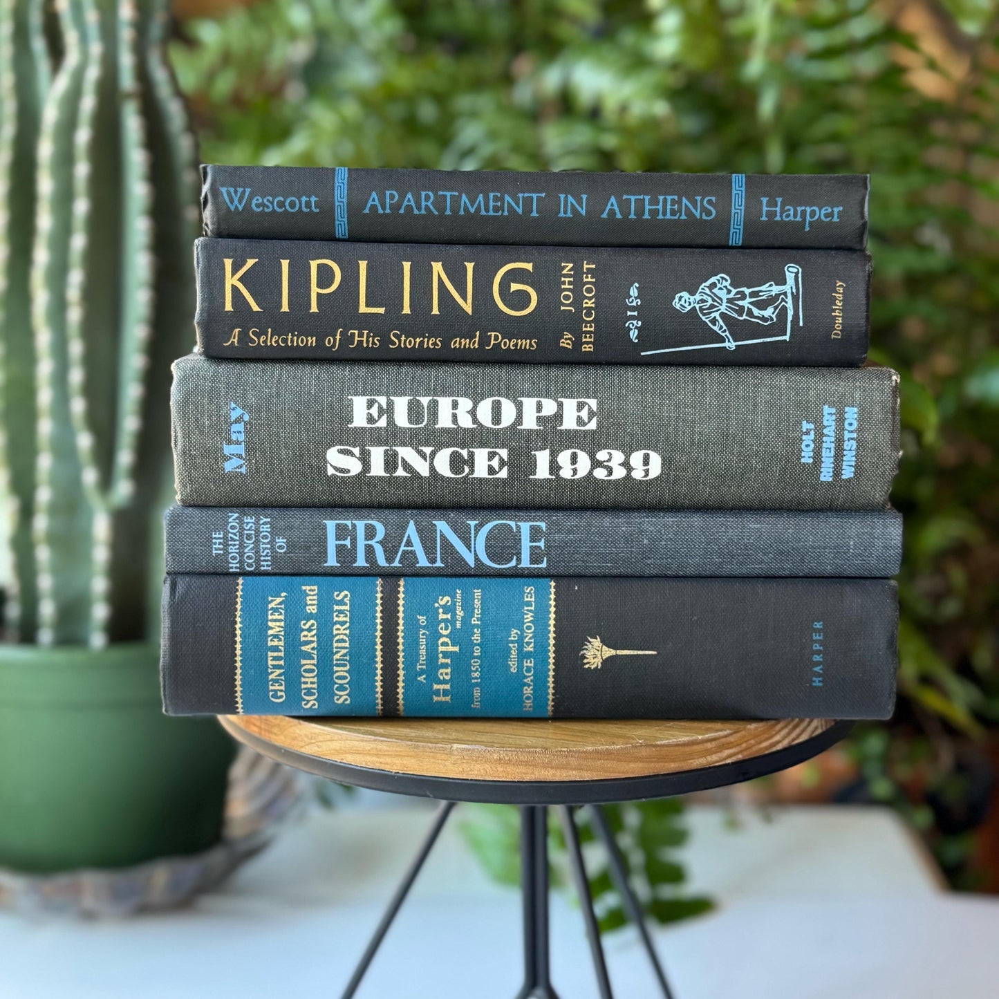 Black and Blue Mid Century Vintage Book Set For Masculine Shelf Styling