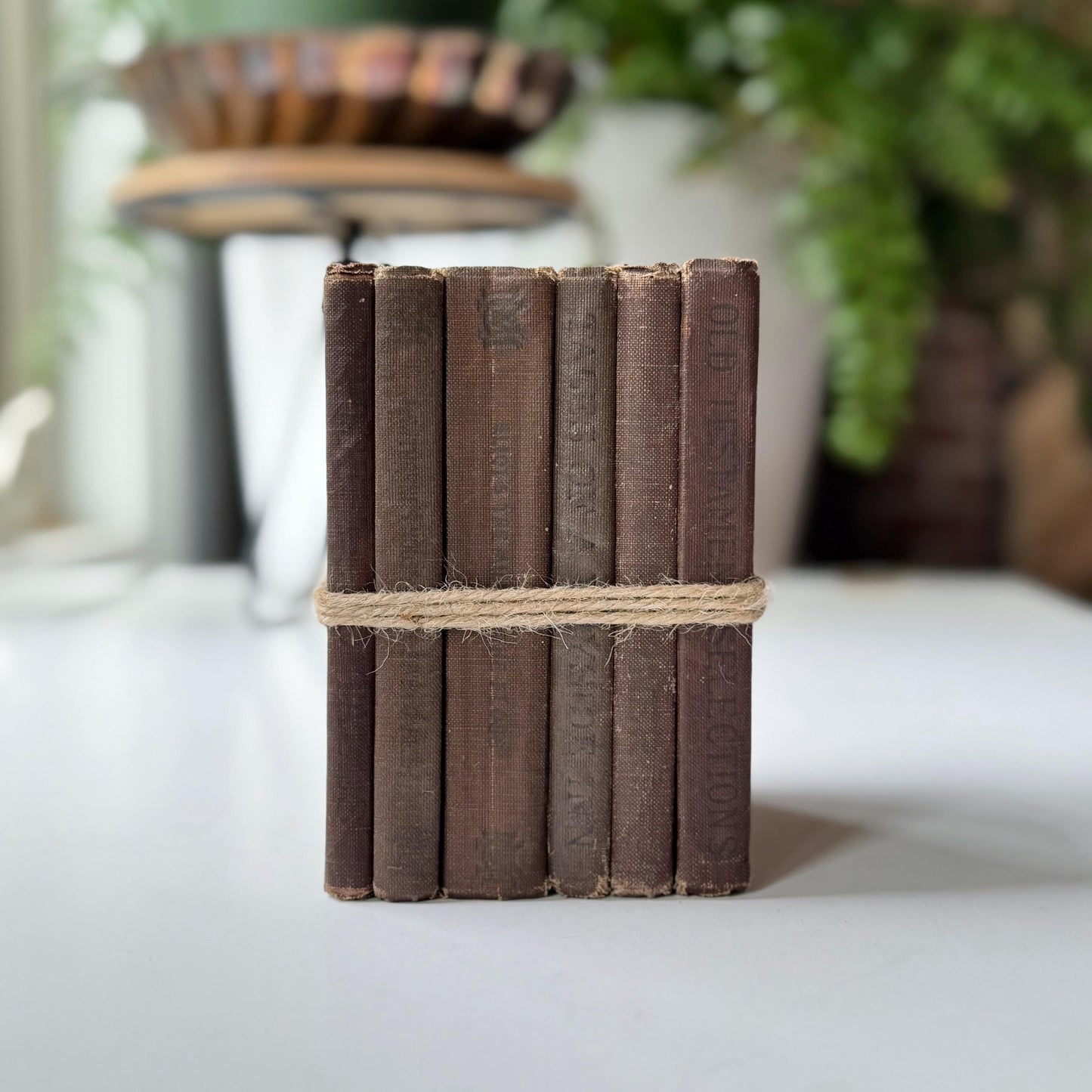 Antique Small Brown School Book Bundle, Macmillan Pocket Classics