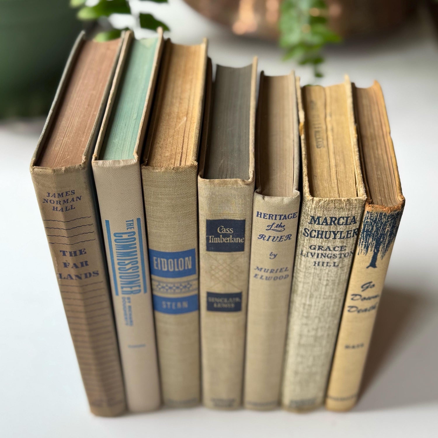 Beige Cream Blue Vintage Book Bundle for Shelf Styling, Books By Color