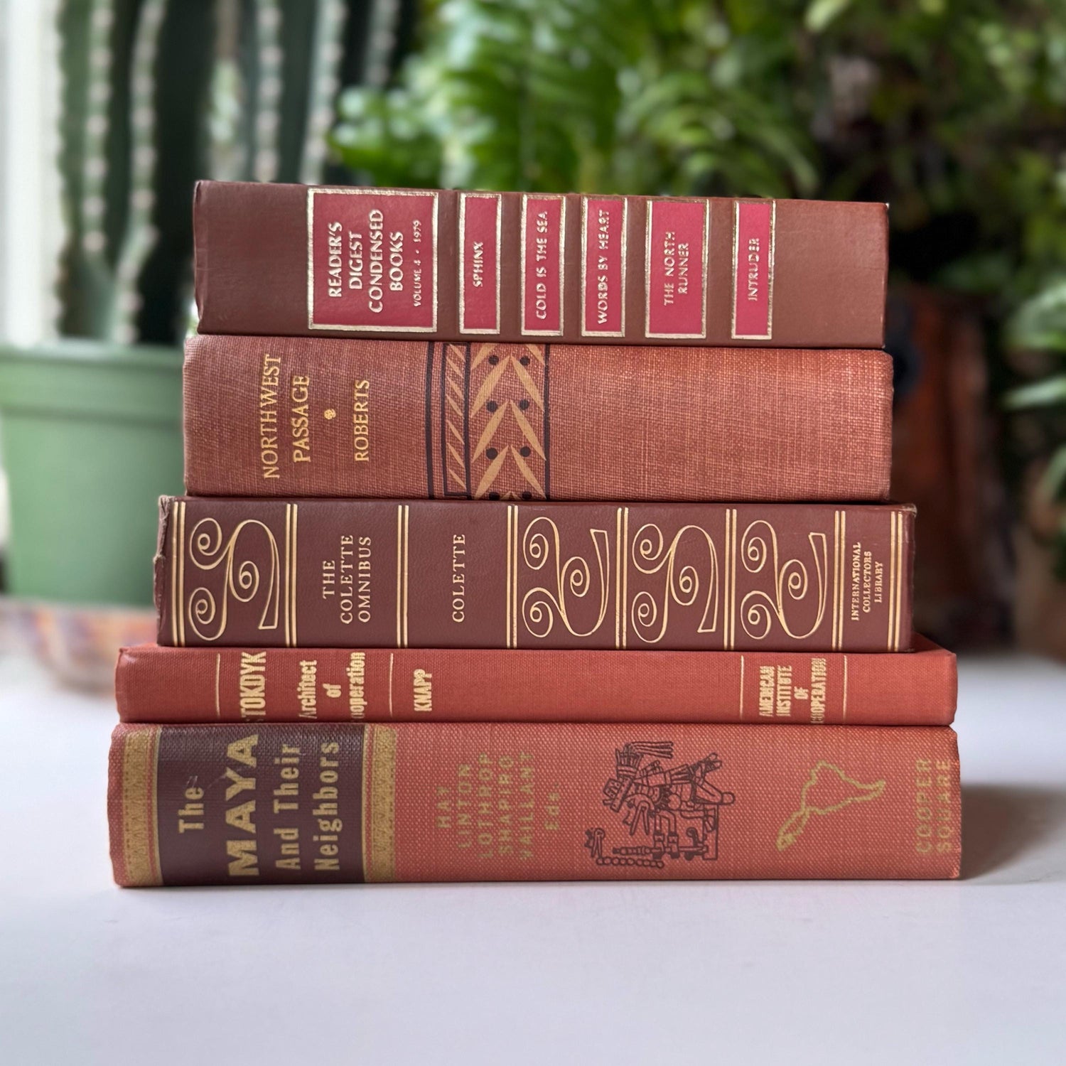 Terra Cotta and Pink Cozy Vintage Book Bundle for Shelf Styling