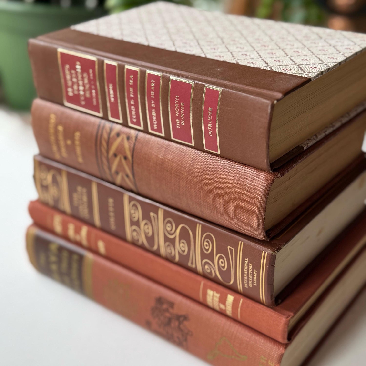 Terra Cotta and Pink Cozy Vintage Book Bundle for Shelf Styling