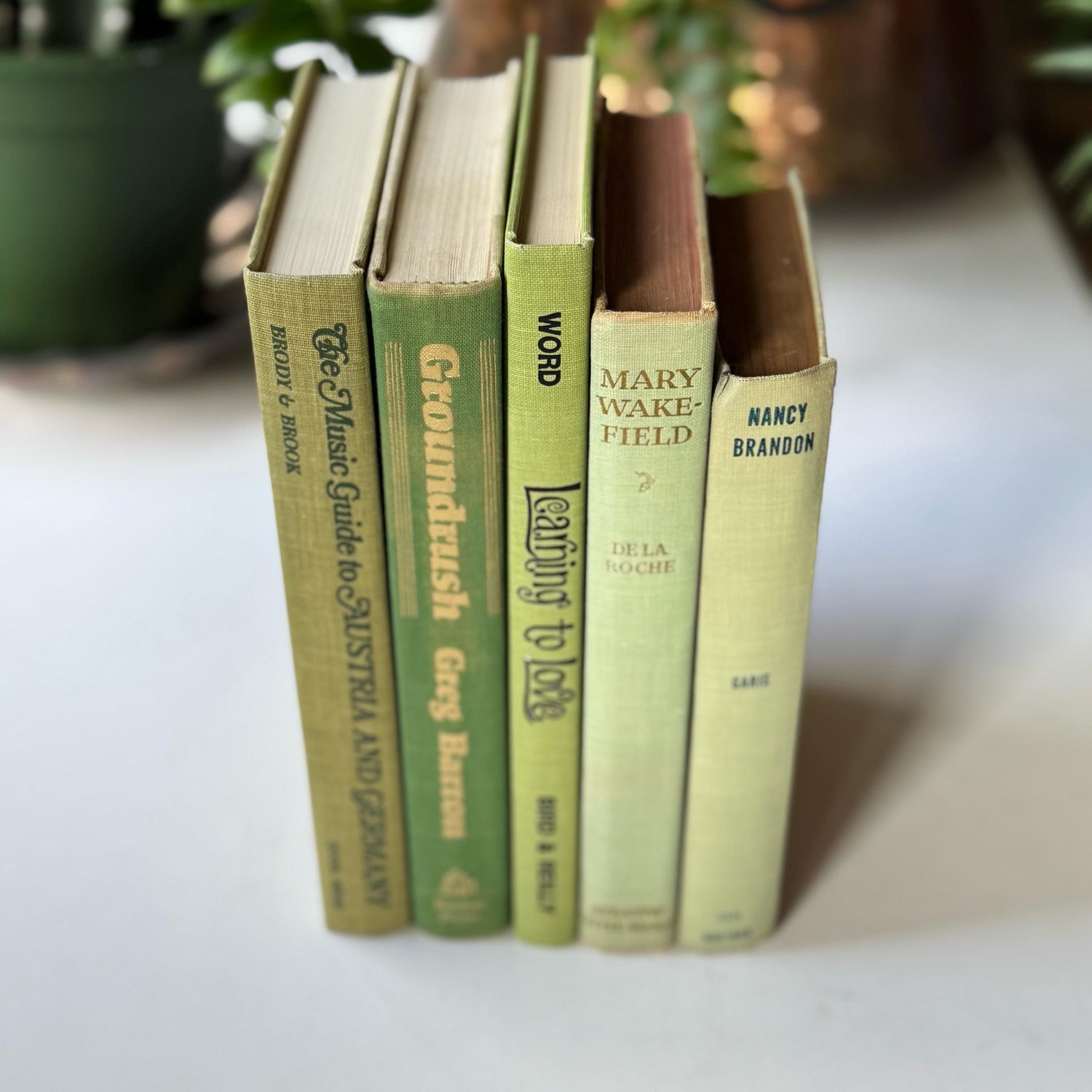 Spring Green Pale Green Vintage Book Bundle for Shelf Styling