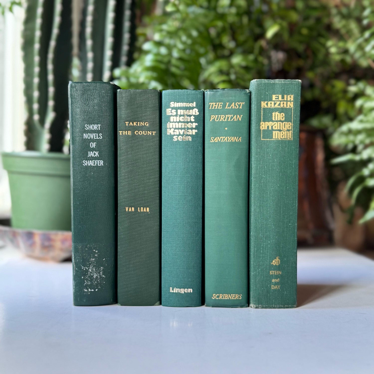 Dark Hunter Green Vintage and Antique Book Bundle for Shelf Styling