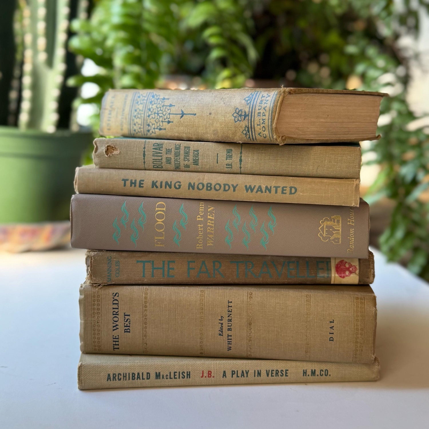 Old Beige Blue Green Vintage and Antique Books for Shelf Styling