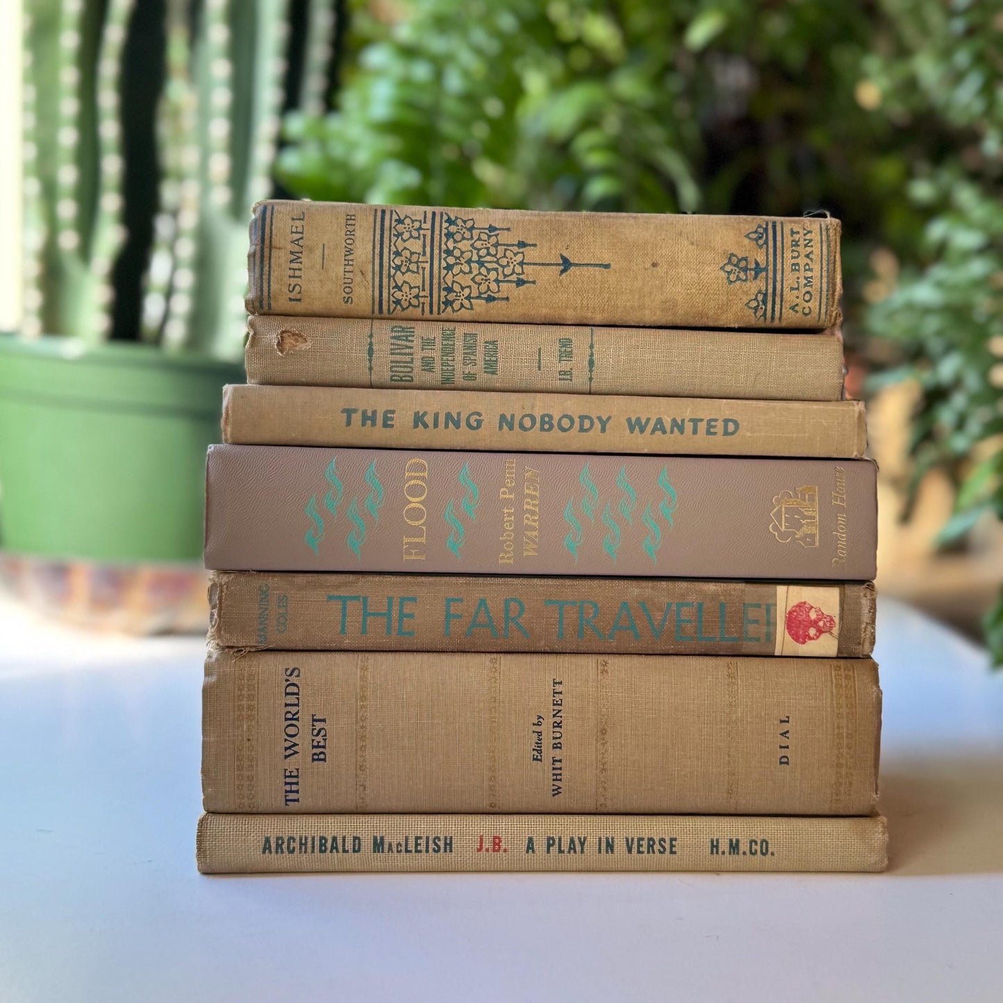 Old Beige Blue Green Vintage and Antique Books for Shelf Styling