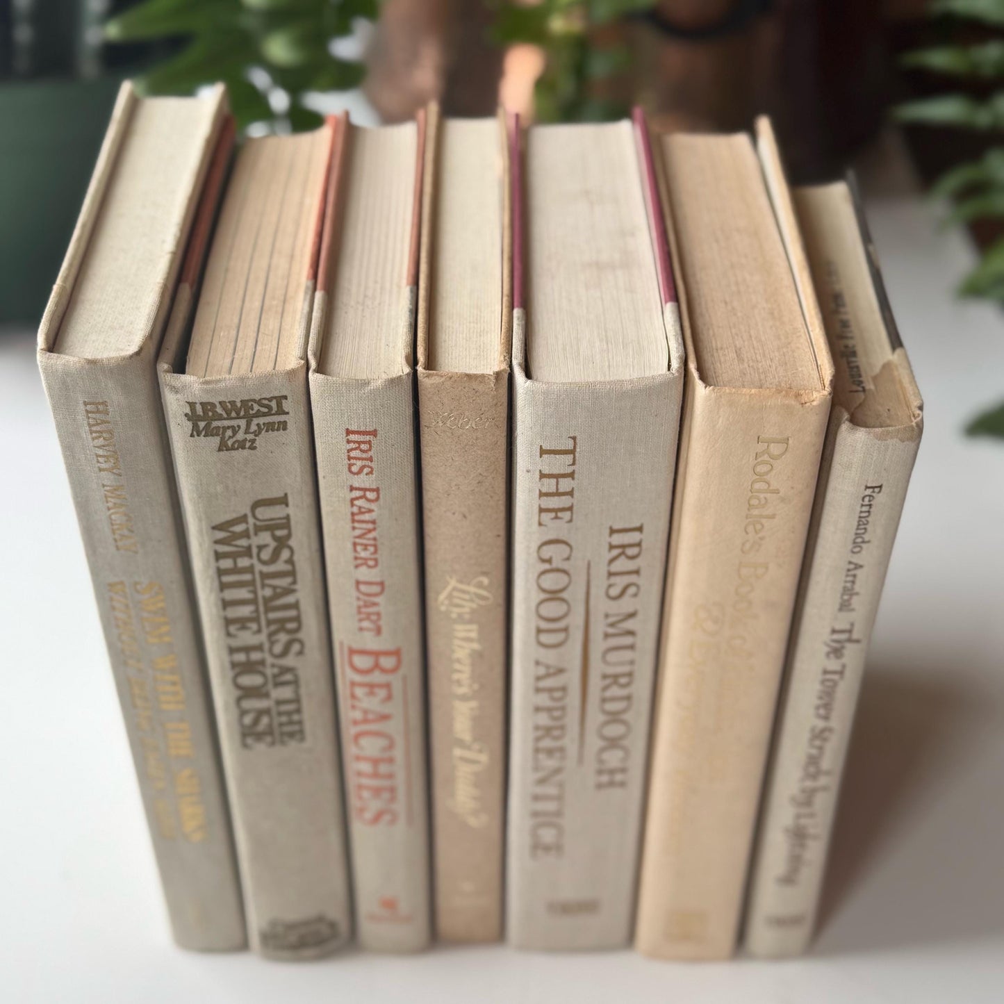 Cream and Gold Vintage Retro Book Set for Shelf Styling