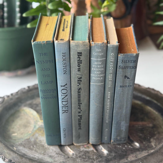 Pale Blue and Blue-Gray Vintage and Antique Book Set for Shelf Styling