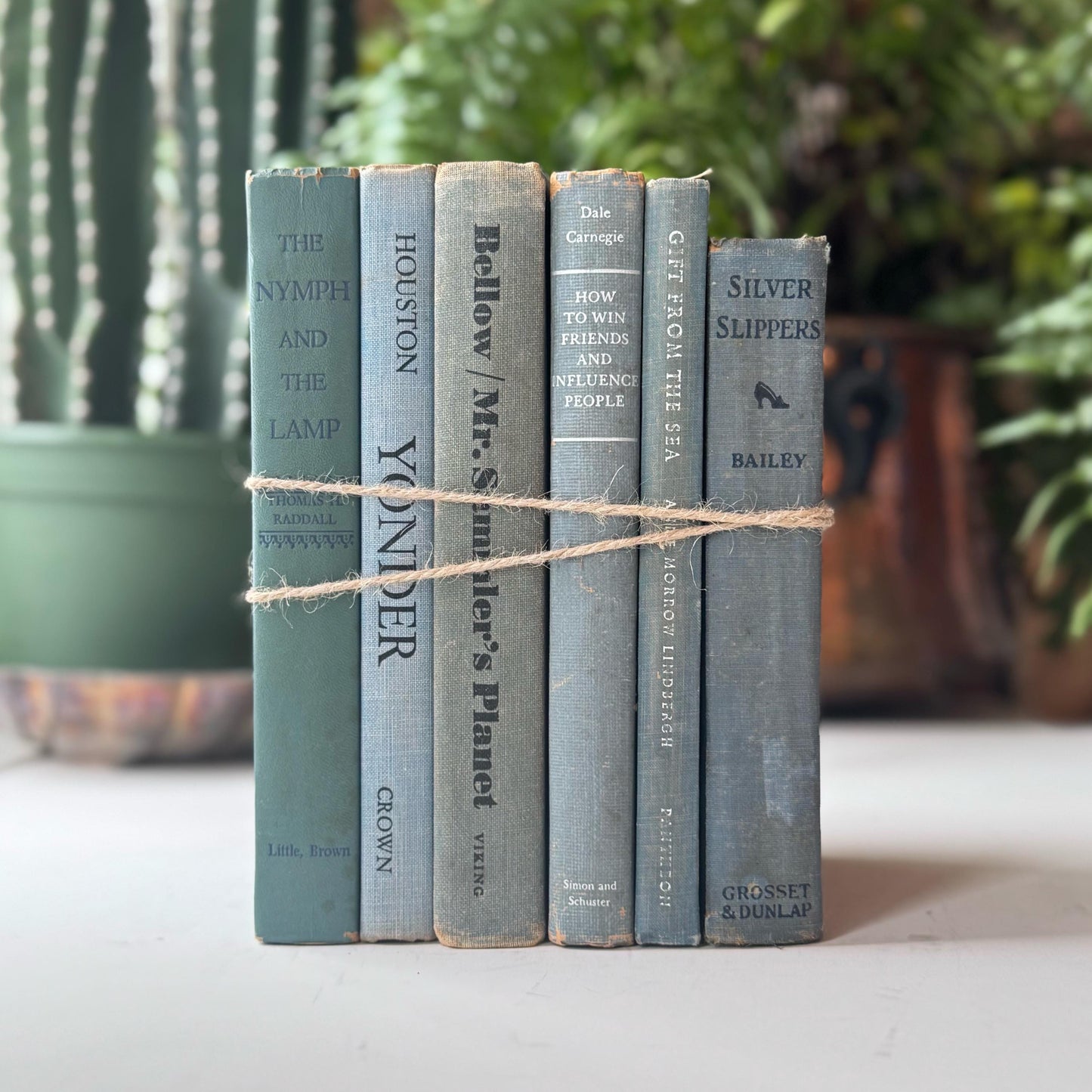 Pale Blue and Blue-Gray Vintage and Antique Book Set for Shelf Styling