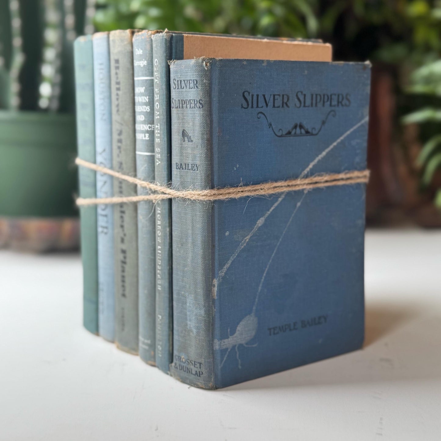 Pale Blue and Blue-Gray Vintage and Antique Book Set for Shelf Styling