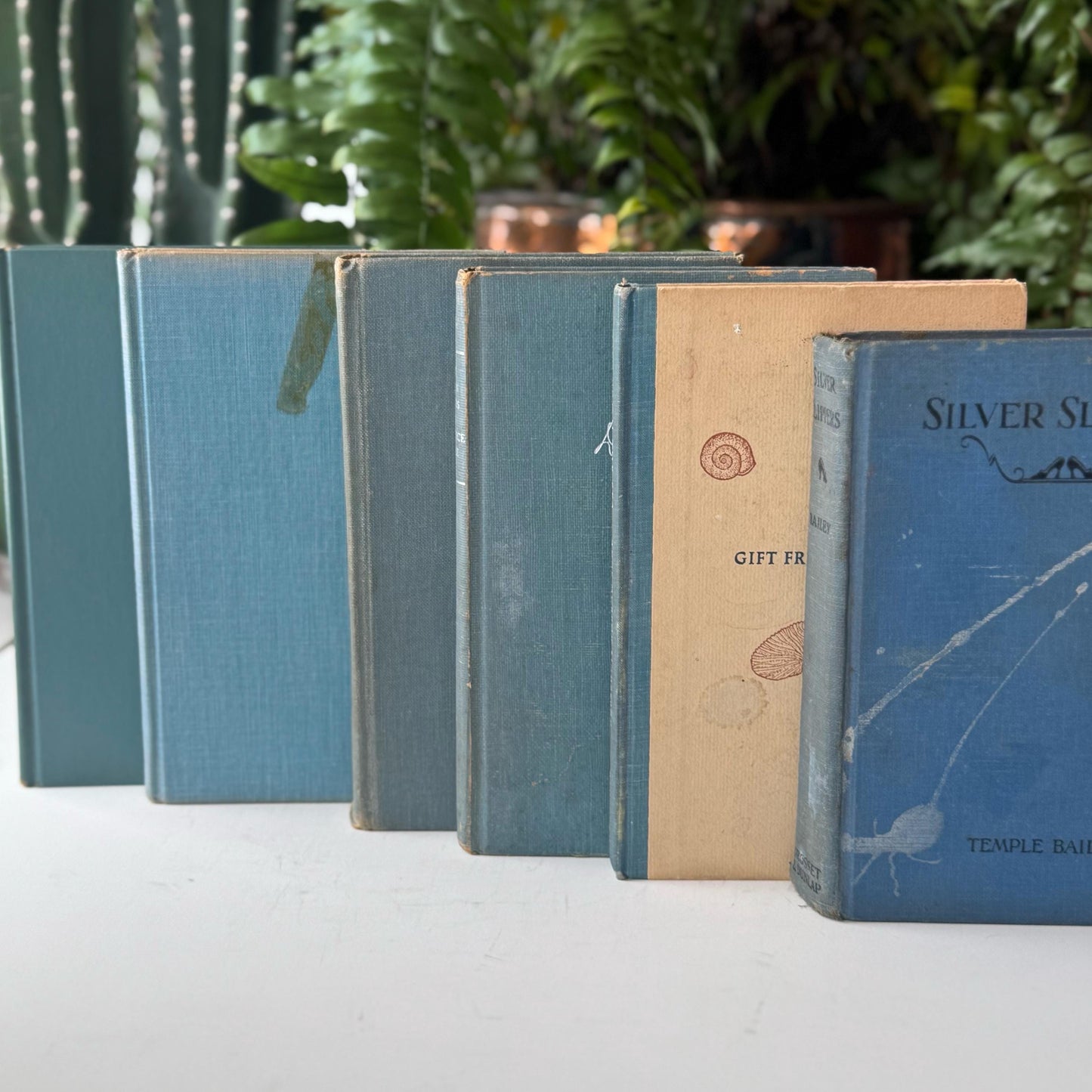 Pale Blue and Blue-Gray Vintage and Antique Book Set for Shelf Styling