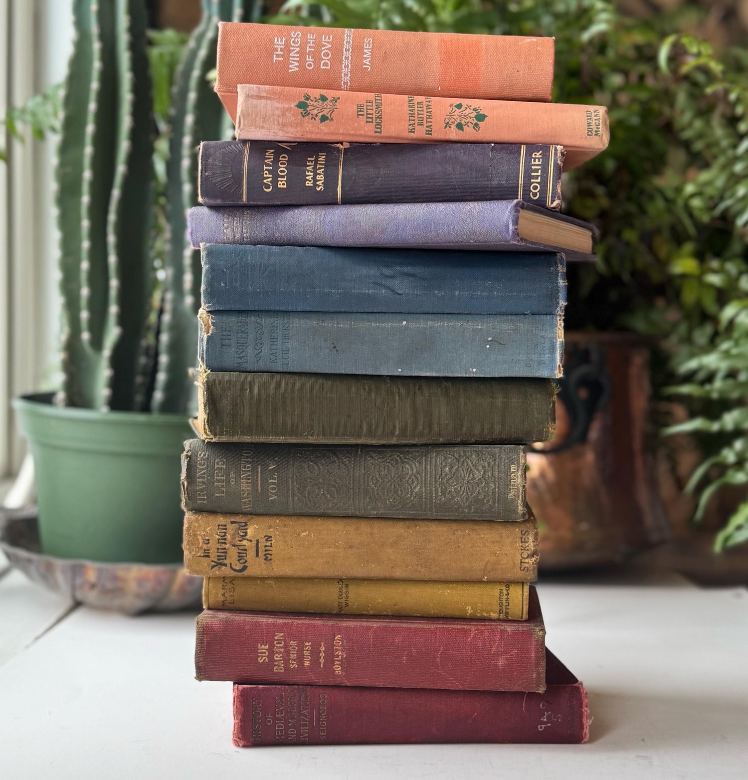 Shabby Antique Rainbow Book Set for Shelf Display