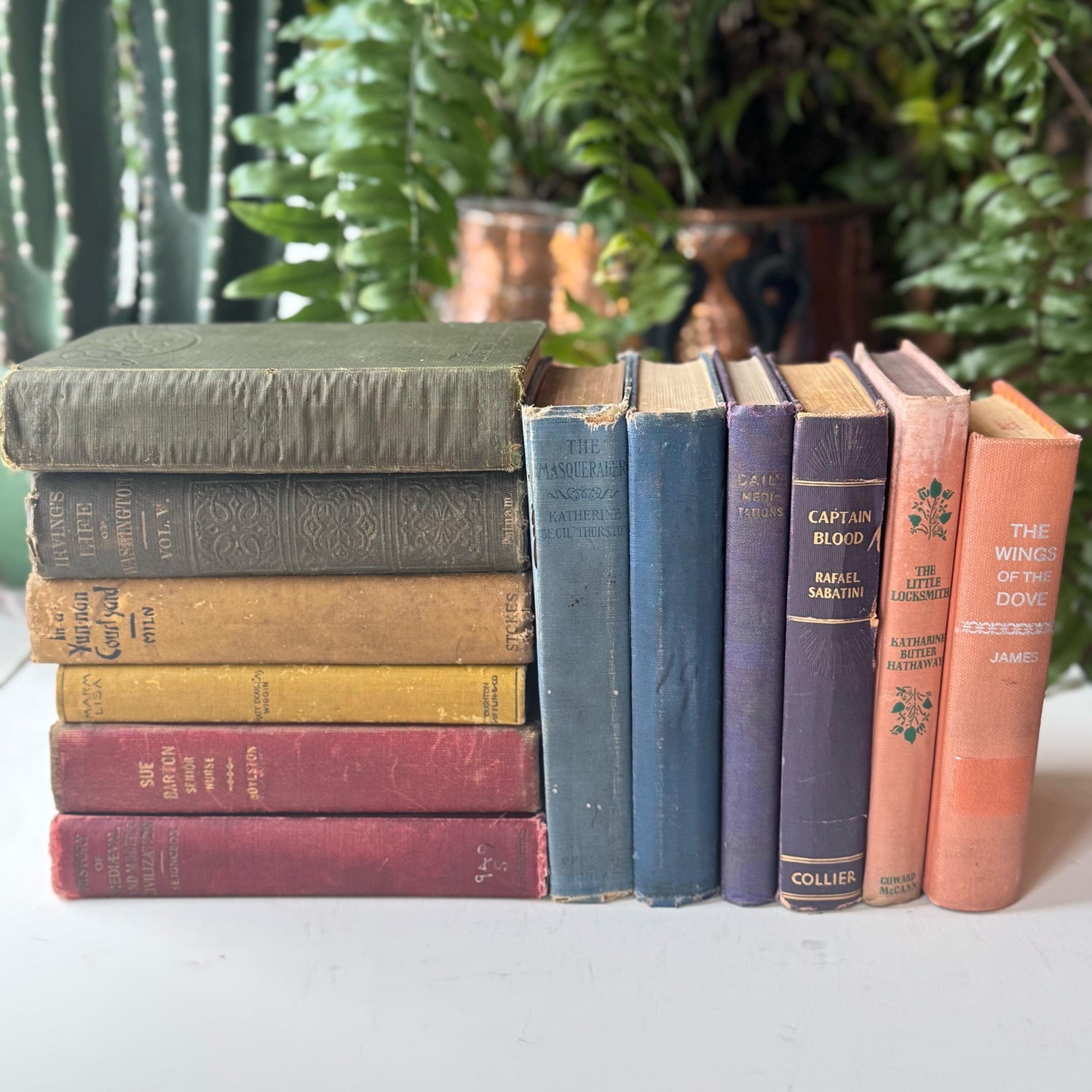 Shabby Antique Rainbow Book Set for Shelf Display