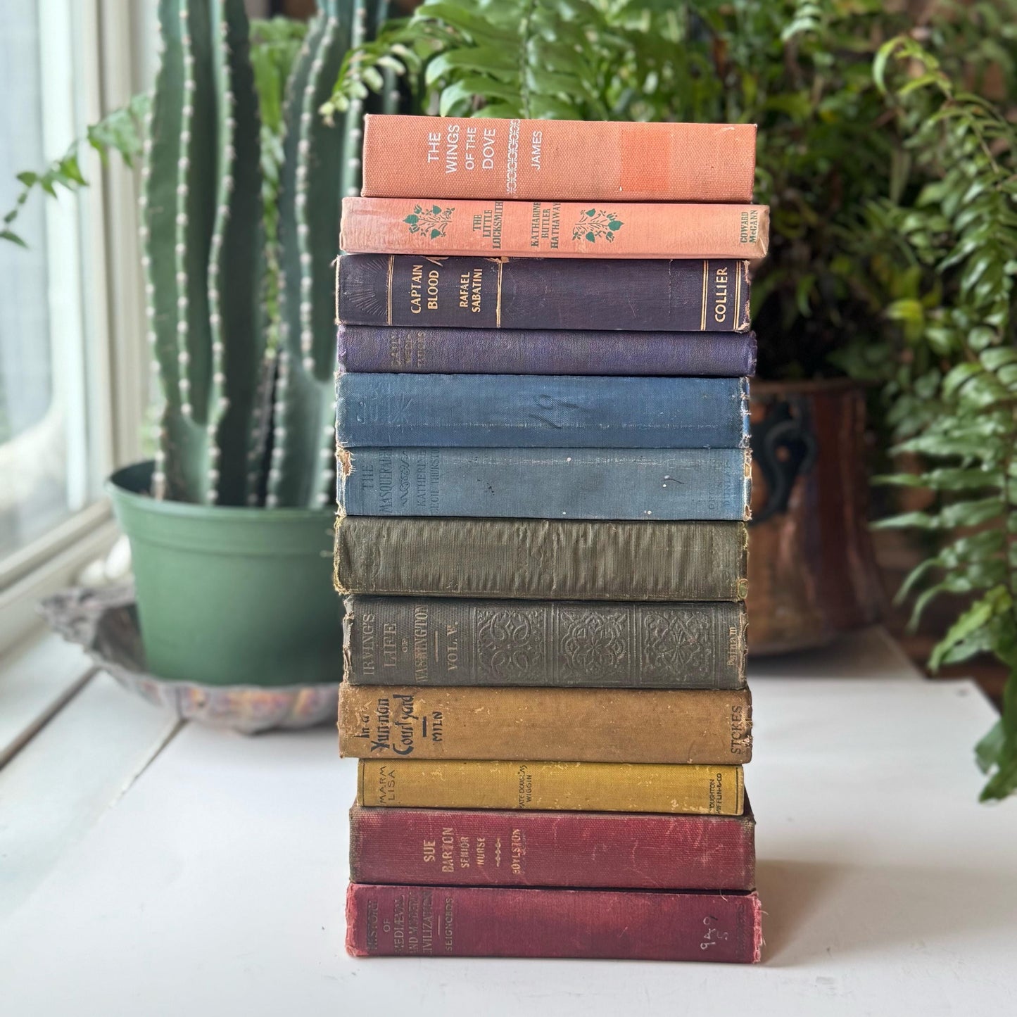 Shabby Antique Rainbow Book Set for Shelf Display