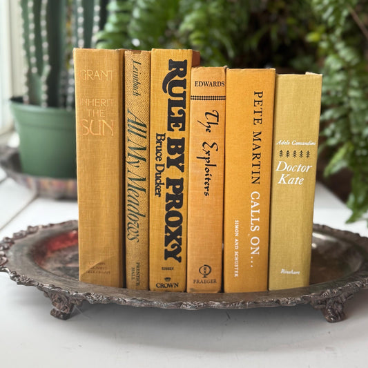 Mustard Yellow Vintage Books for Shelf Styling and Decor