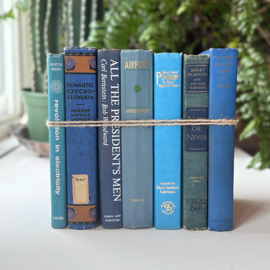 Blue Vintage Oversized Books for Decor, Books By Color, Vintage Book Set for Shelf Styling