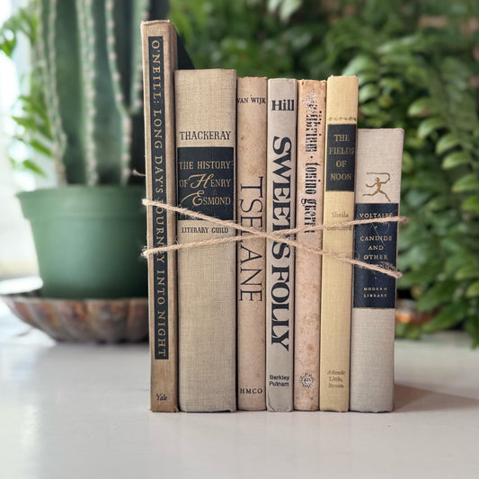 Vintage Gray Tan and Black Shabby Distressed Book Set, Old Books For Shelf Styling