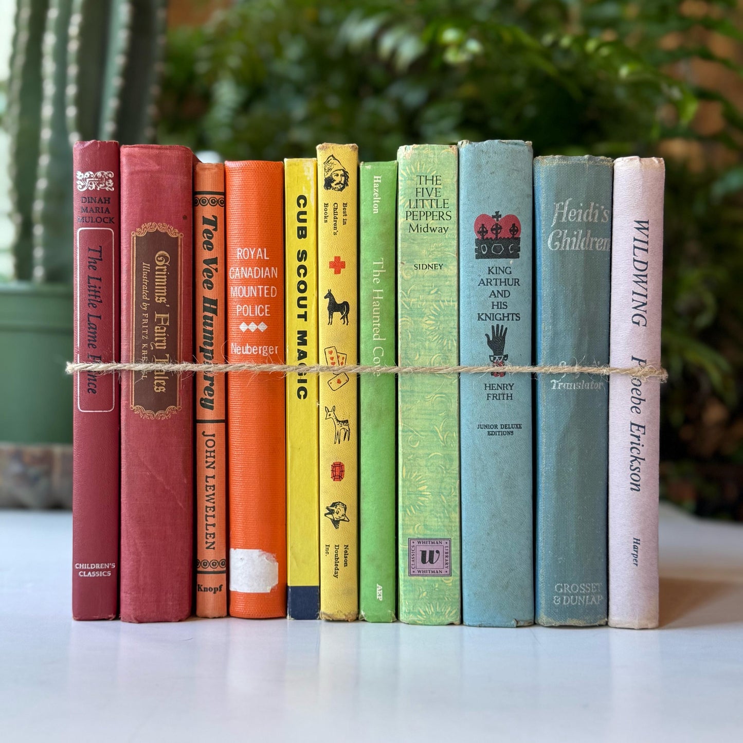 Rainbow Vintage Children's Book Set for Shelf Styling, Classic Kids Books