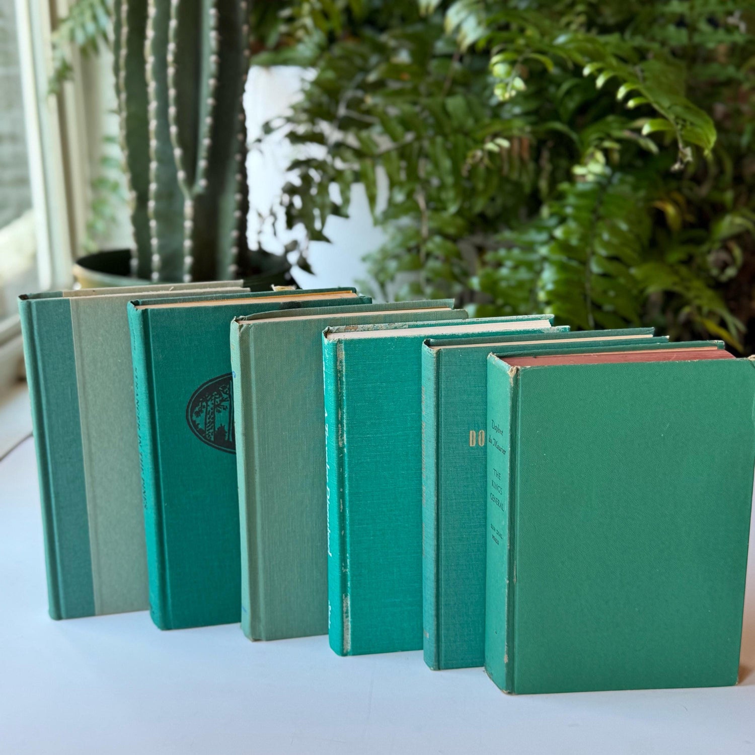 Teal Green Vintage Decorative Books for Bookshelf Decor