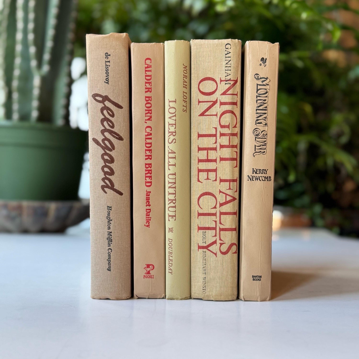 Beige and Red 1970s and 80s Vintage Books for Retro Shelf Styling