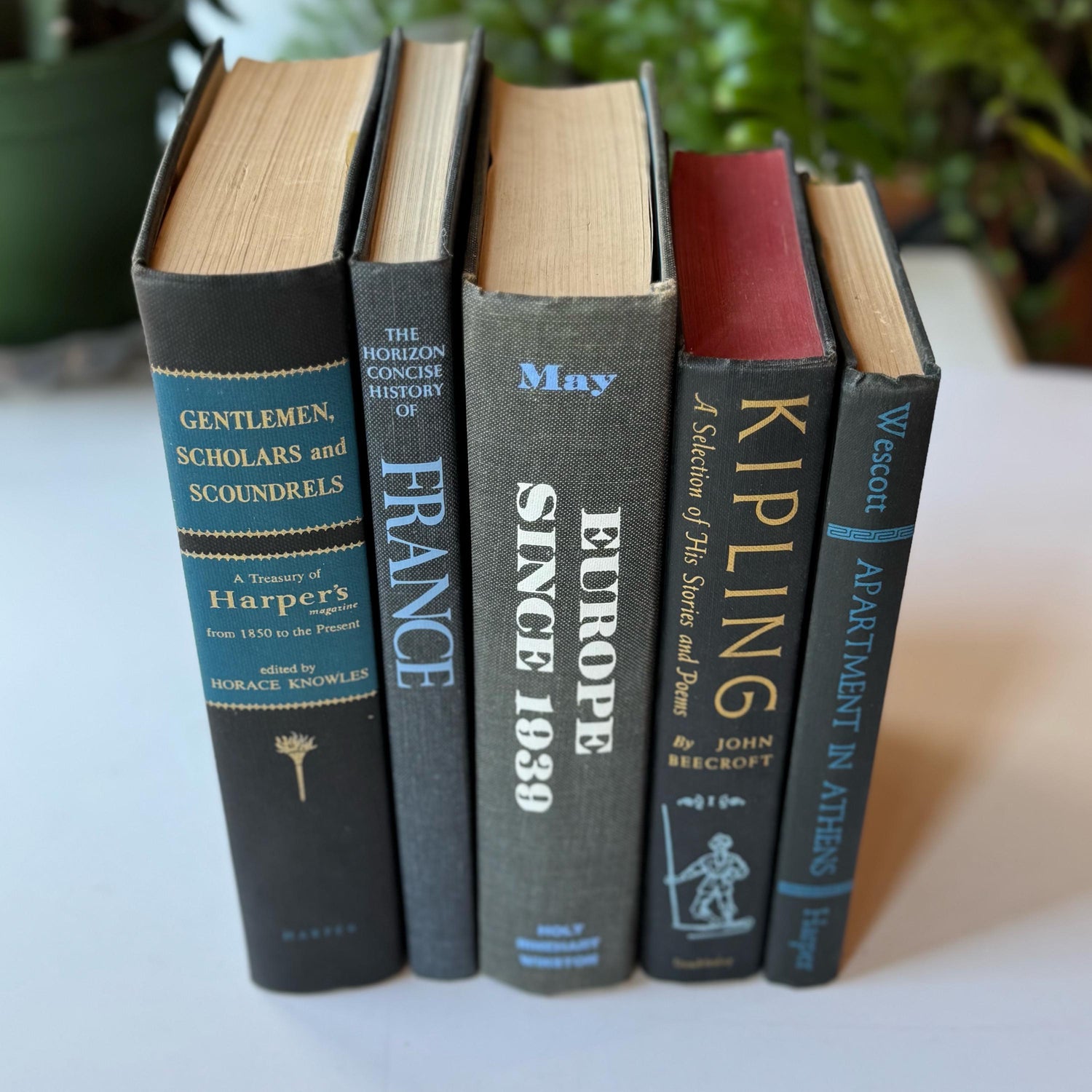 Black and Blue Mid Century Vintage Book Set For Masculine Shelf Styling