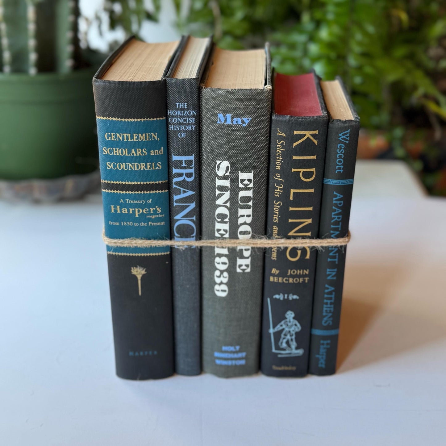 Black and Blue Mid Century Vintage Book Set For Masculine Shelf Styling