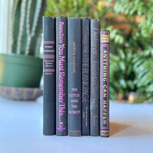 Vintage Black and Purple Book Decorative Retro Book Bundle for Shelf Styling