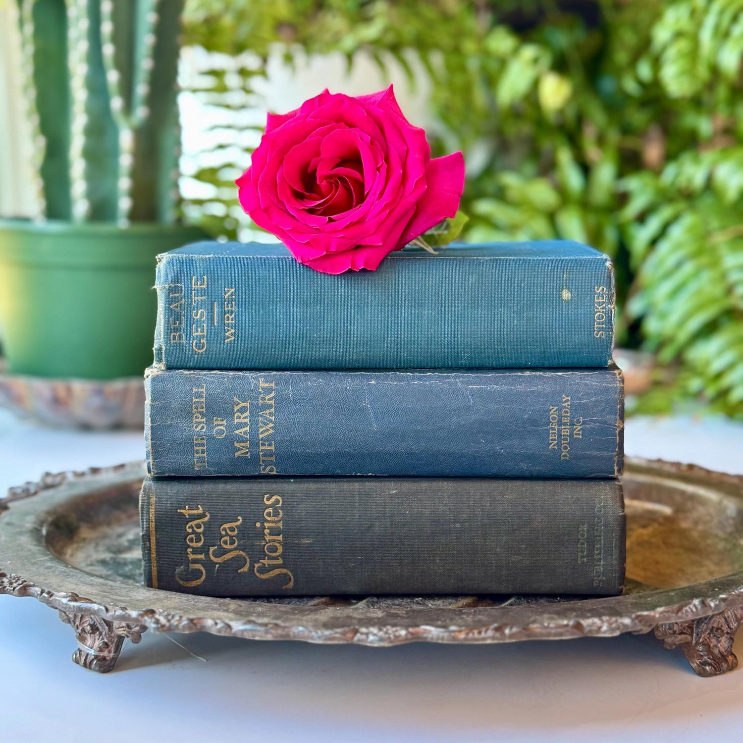 Vintage Blue Chunky Books for Shelf Styling