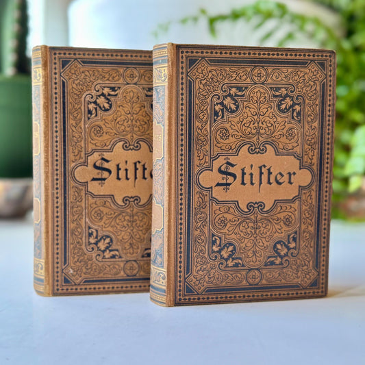 Antique Ornate Brown German Books, Adalbert Stifter's Selected Works, 1800s