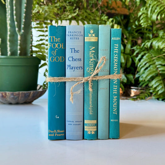 Vintage Mid-Century Turquoise and Light Blue Books for Shelf Styling