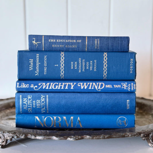 Indigo Blue and Silver Vintage Mid-Century Modern Book Set for Shelf Styling
