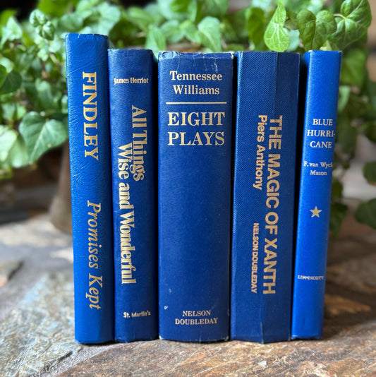 Navy Indigo Blue Vintage Book Set for Decor, Mid Century Modern Bookshelf Decor