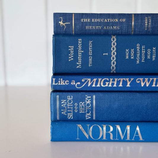 Indigo Blue and Silver Vintage Mid-Century Modern Book Set for Shelf Styling