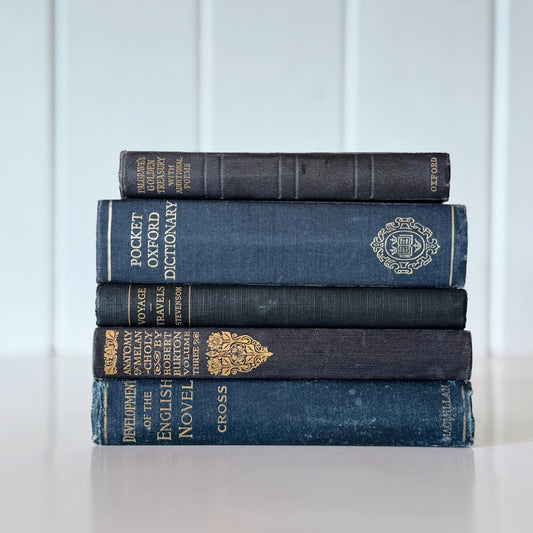 Antique Blue Small Books, Classic Literature Bookshelf Decor, Shabby Book Bundle