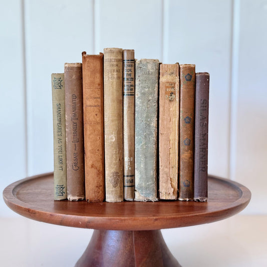 Small Pocket Sized Antique Shabby Neutral Book Bundle