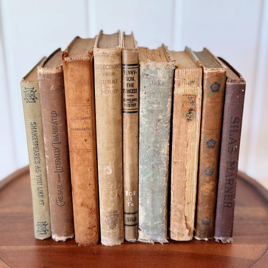 Small Pocket Sized Antique Shabby Neutral Book Bundle