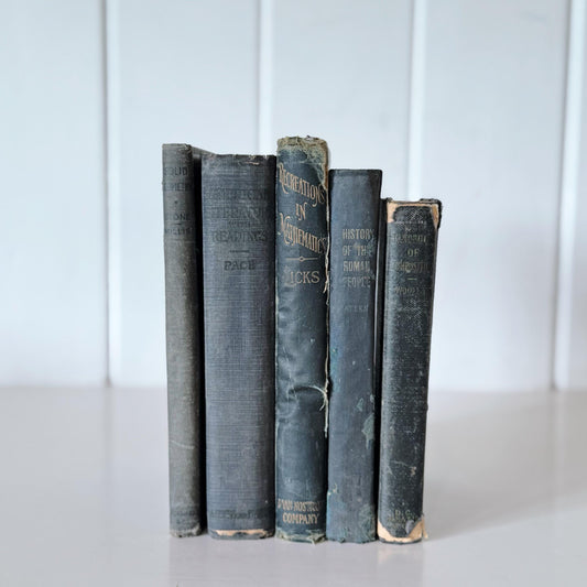 Antique Blue School Book Bundle, School Textbooks, Faded Shabby Books
