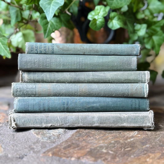 Green and Blue Antique and Vintage School Books For Shelf Styling, Classical Education Books