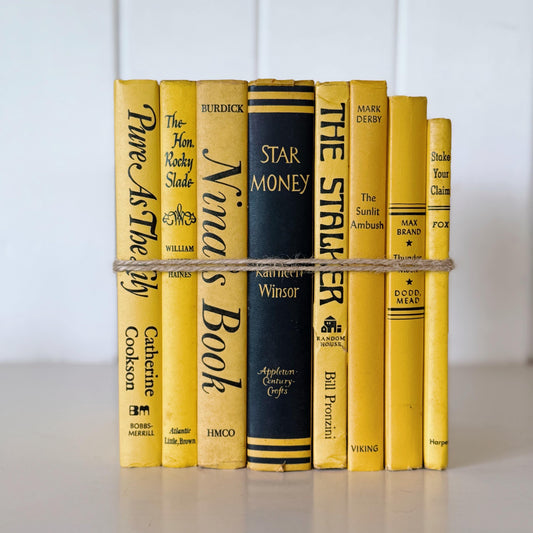 Yellow and Black Vintage Decorative Book Set for Display, Rainbow Bookshelf Decor