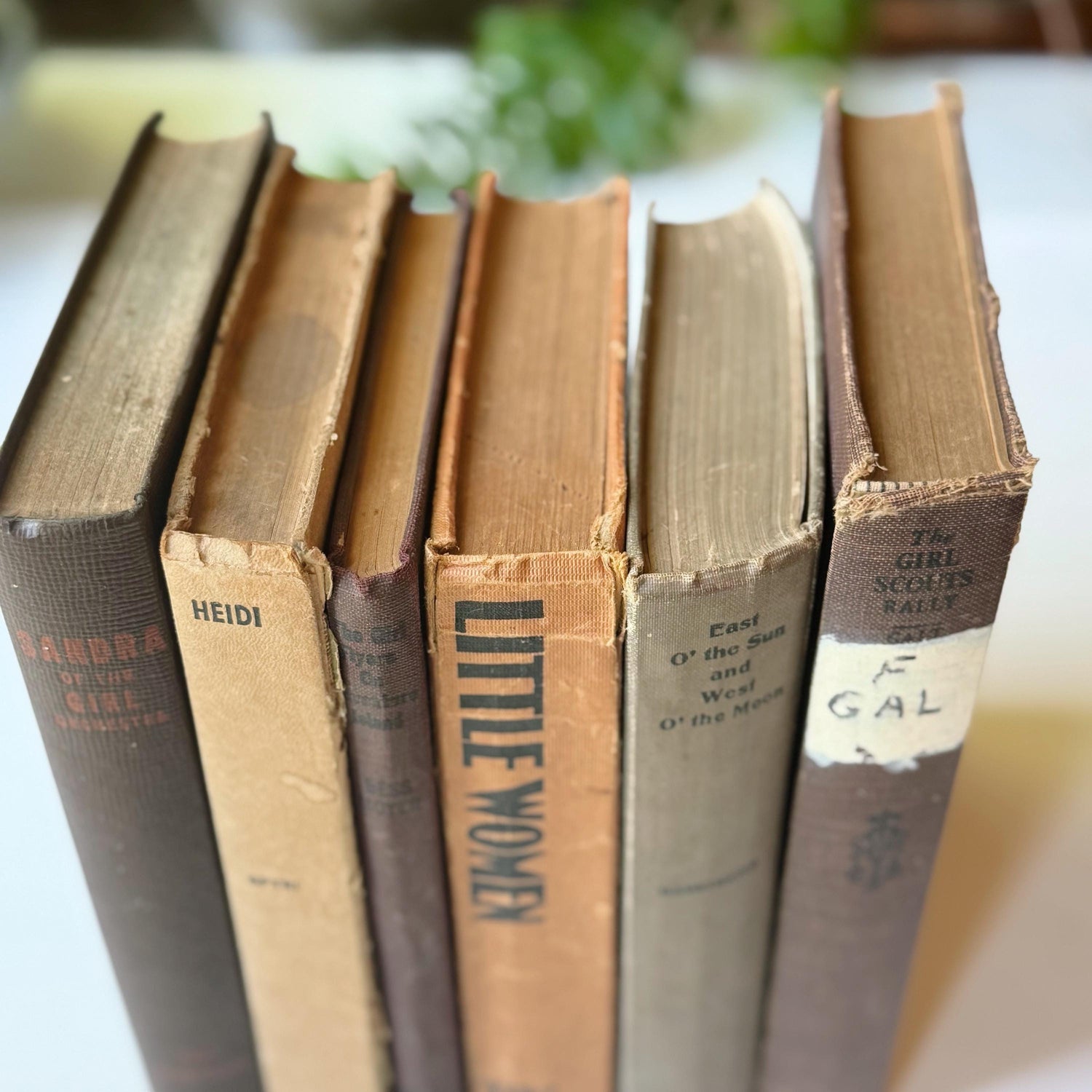 Antique Beige and Brown Children's Book Bundle, Little Women, Heidi, Girls Stories