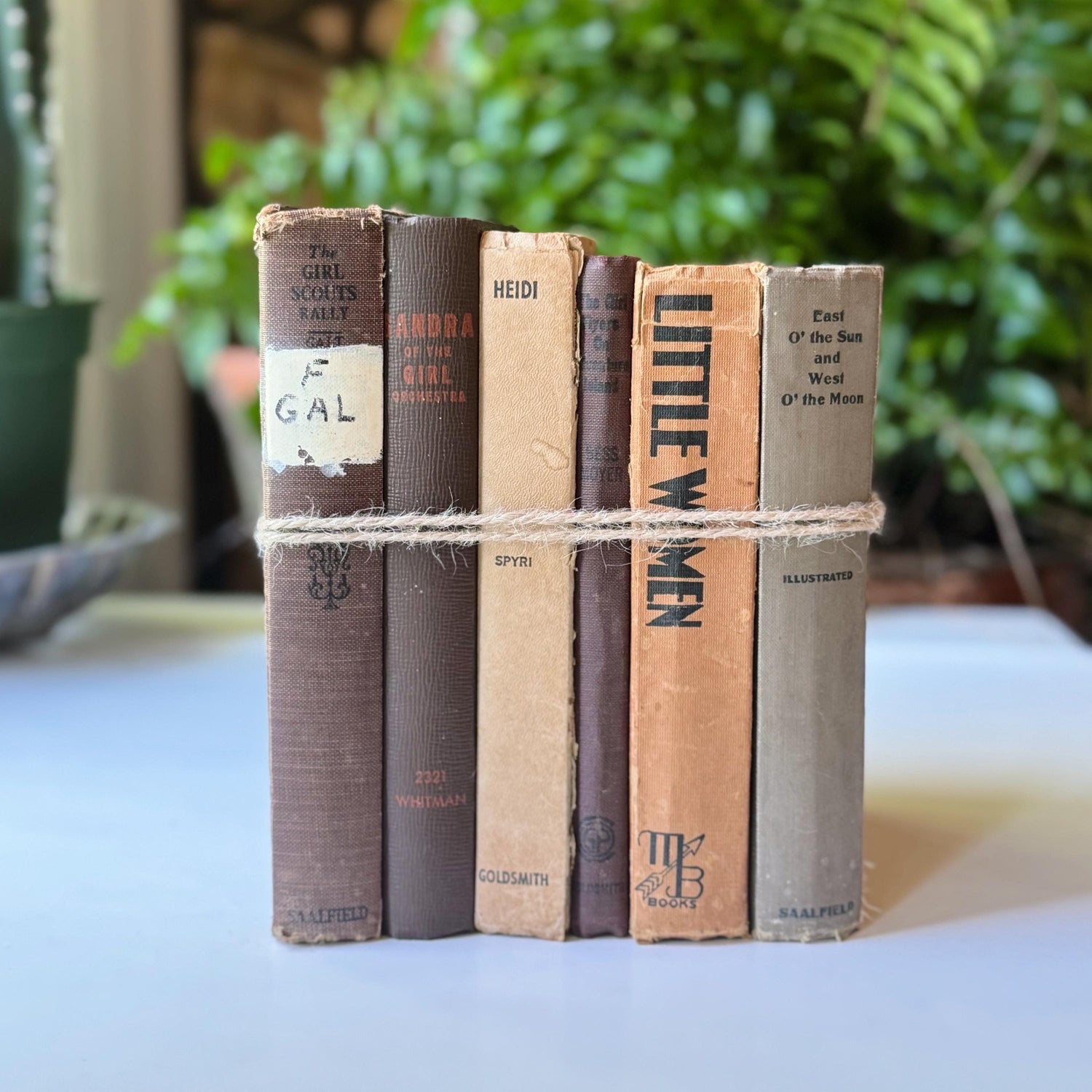 Antique Beige and Brown Children's Book Bundle, Little Women, Heidi, Girls Stories