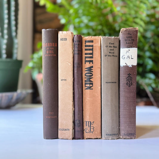 Antique Beige and Brown Children's Book Bundle, Little Women, Heidi, Girls Stories